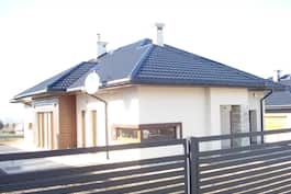 Cyprysiki  3