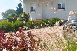 Realizacja domu w rododendronach 6  004