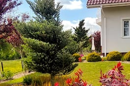 Realizacja domu w rododendronach 6  014
