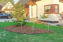 Realizacja dom w aurorach 019