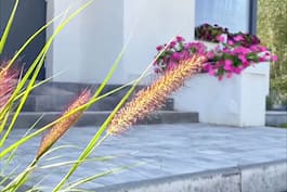 Sliwy 02 g2 01 ewaa  12 