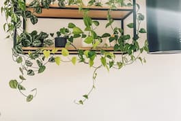 Telimy 01 g2 01 dom w telimach g2  03