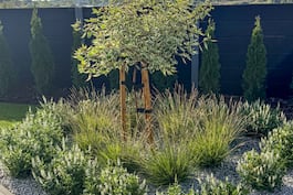 Realizacja dom w aurorach 7 g2 065