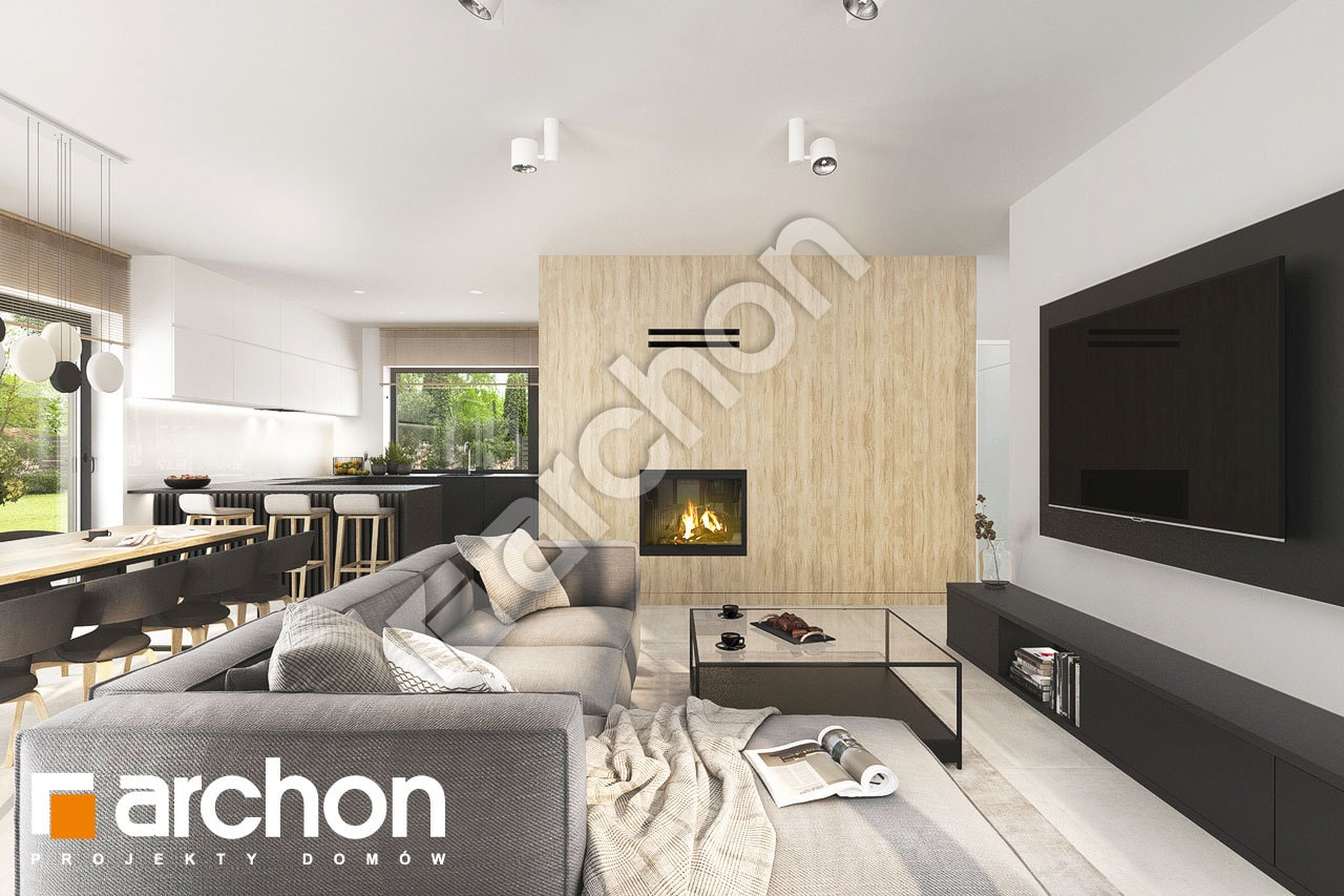 Strefa dzienna (wizualizacja 1)