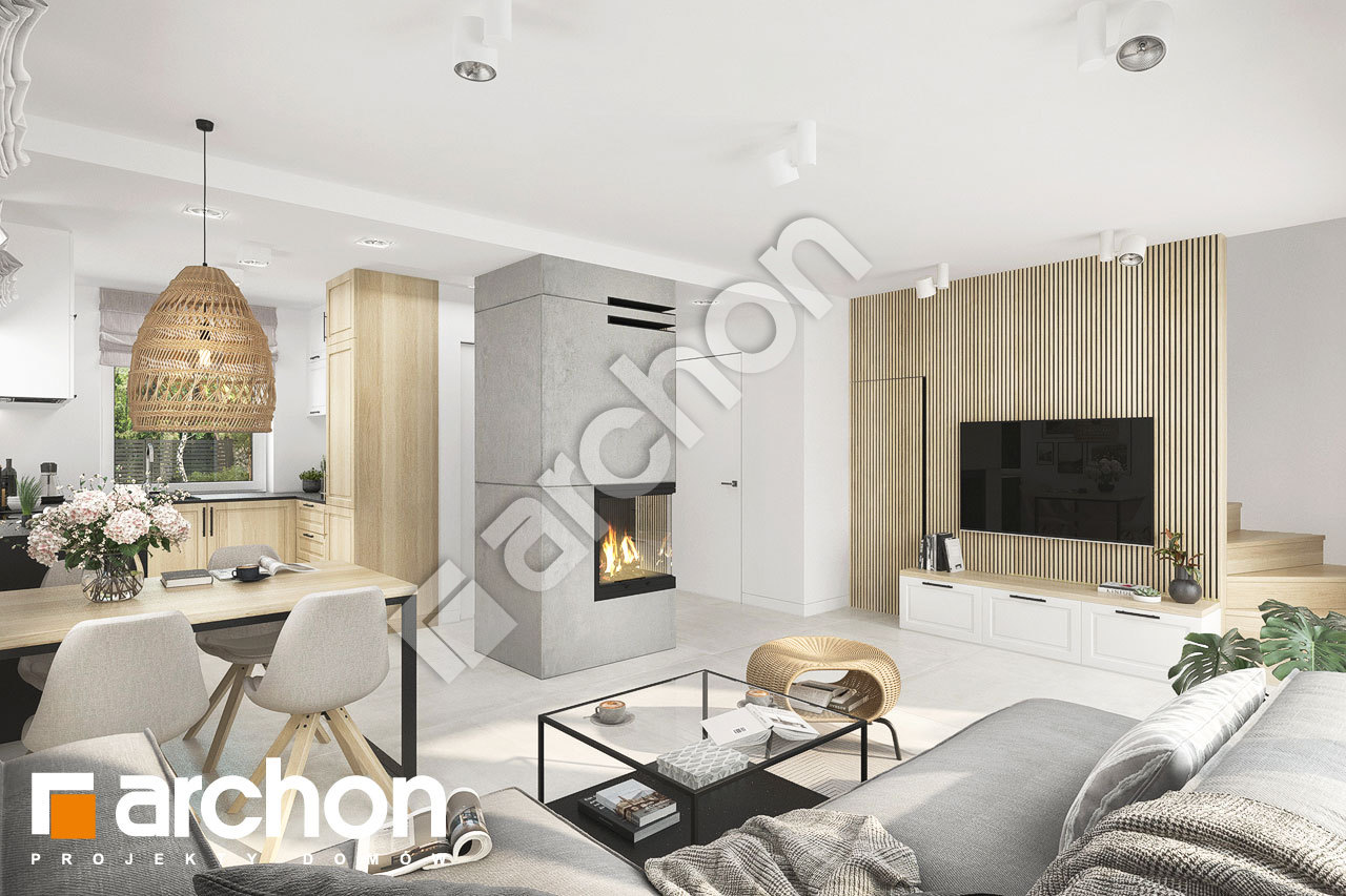 Strefa dzienna (wizualizacja 1)