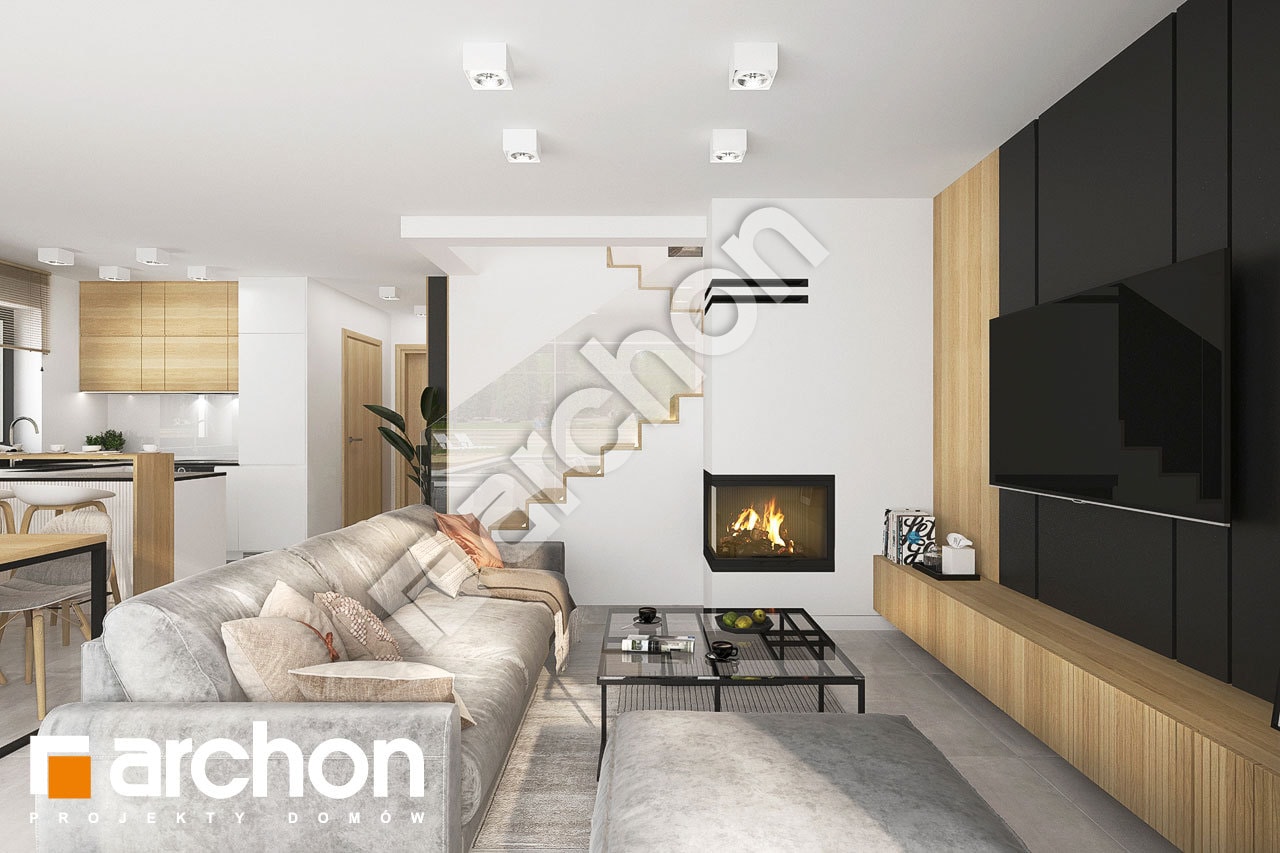 Strefa dzienna (wizualizacja 1)