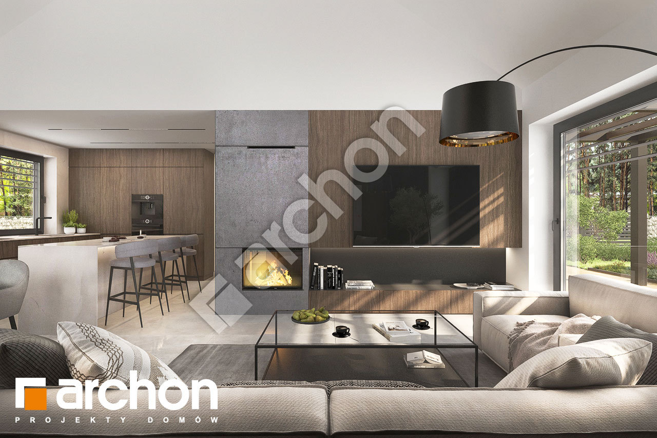 Strefa dzienna (wizualizacja 1)