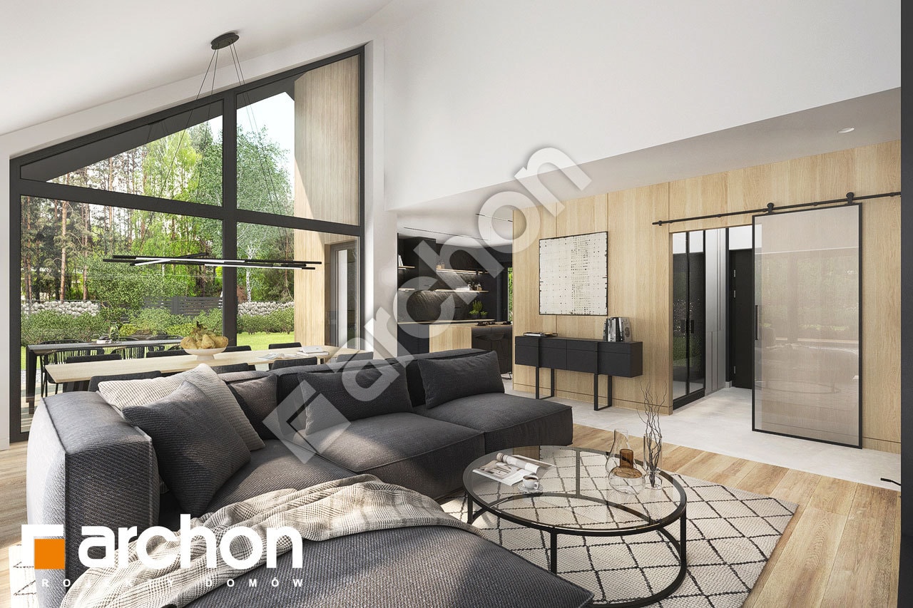 Strefa dzienna (wizualizacja 1)