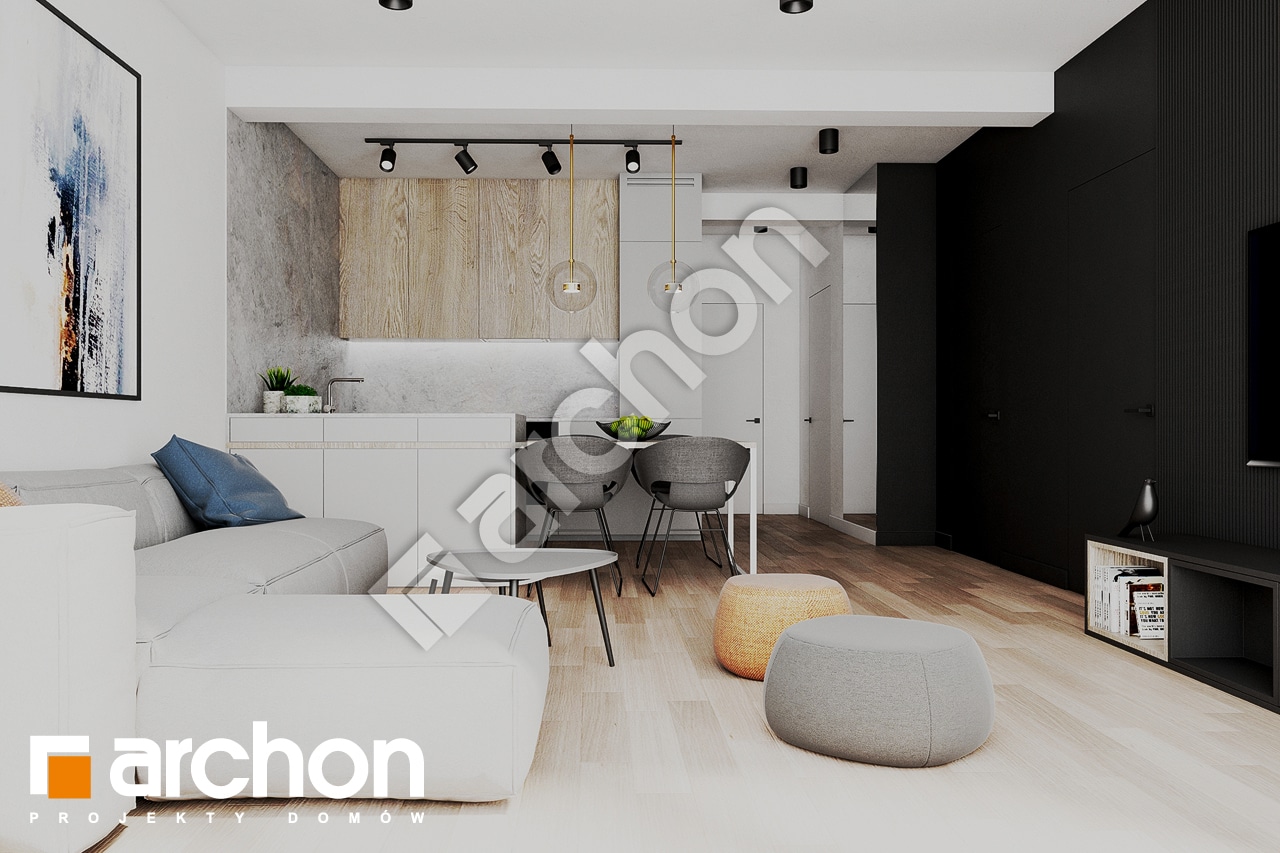 Strefa dzienna (wizualizacja 1)