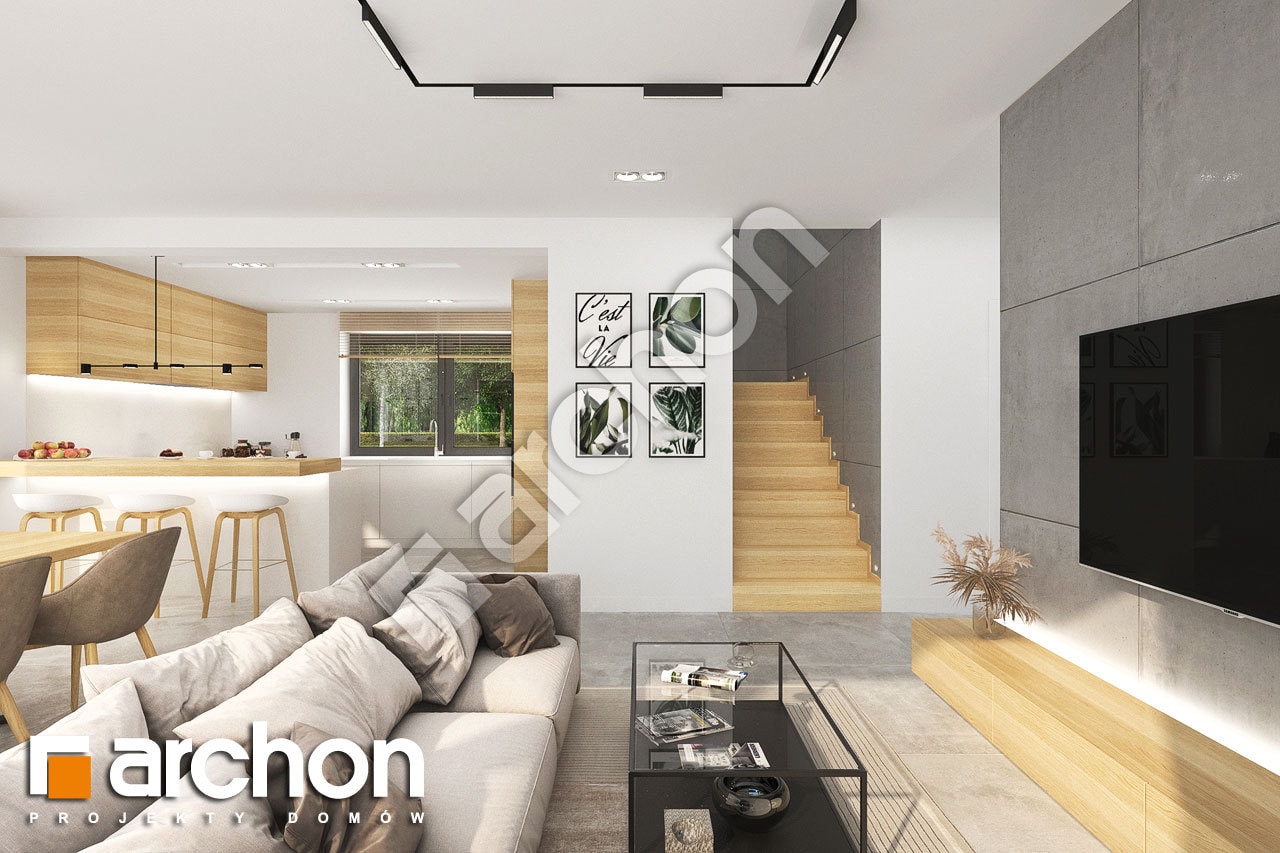 Strefa dzienna (wizualizacja 1)