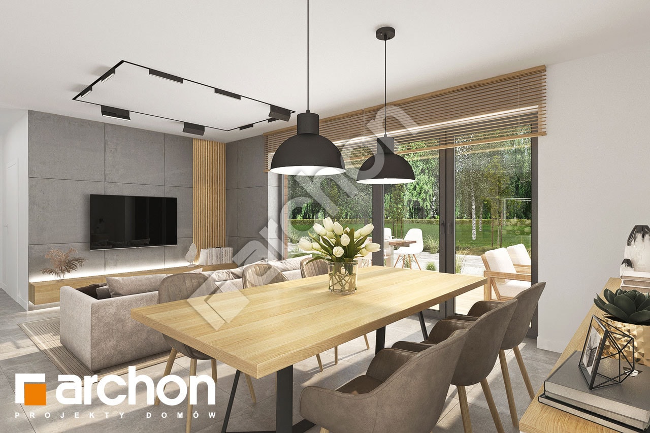 Strefa dzienna (wizualizacja 1)