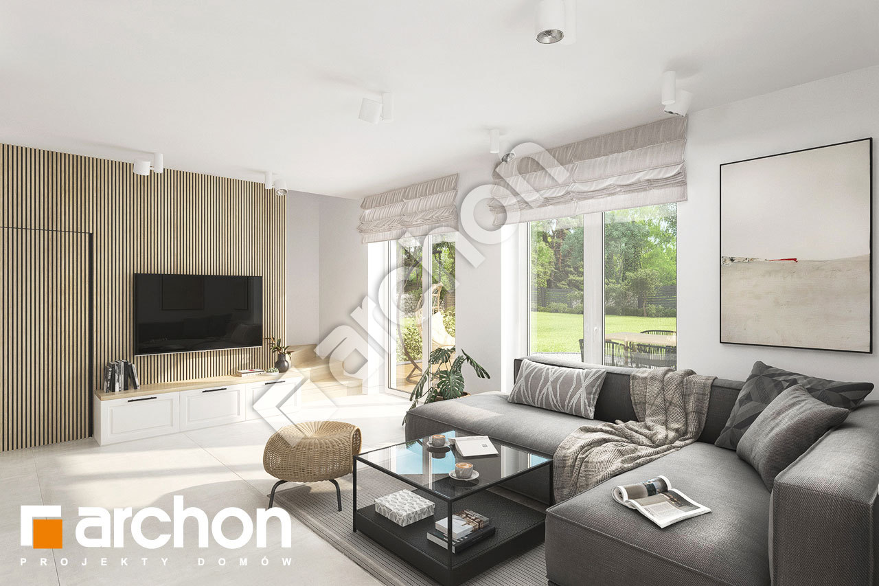 Strefa dzienna (wizualizacja 1)