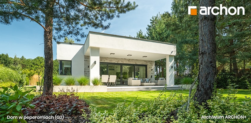 Dom w peperomiach (G2) - nasza wymarzona parterówka